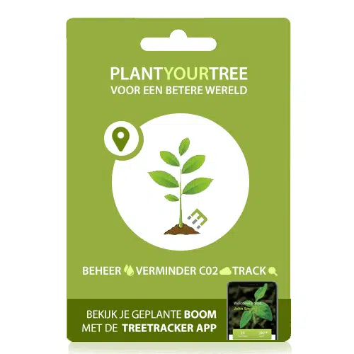 Plant a Tree Giftcard | Plant een Boom | Tamarindeboom | Incl. Treetracker & TreeChatx
