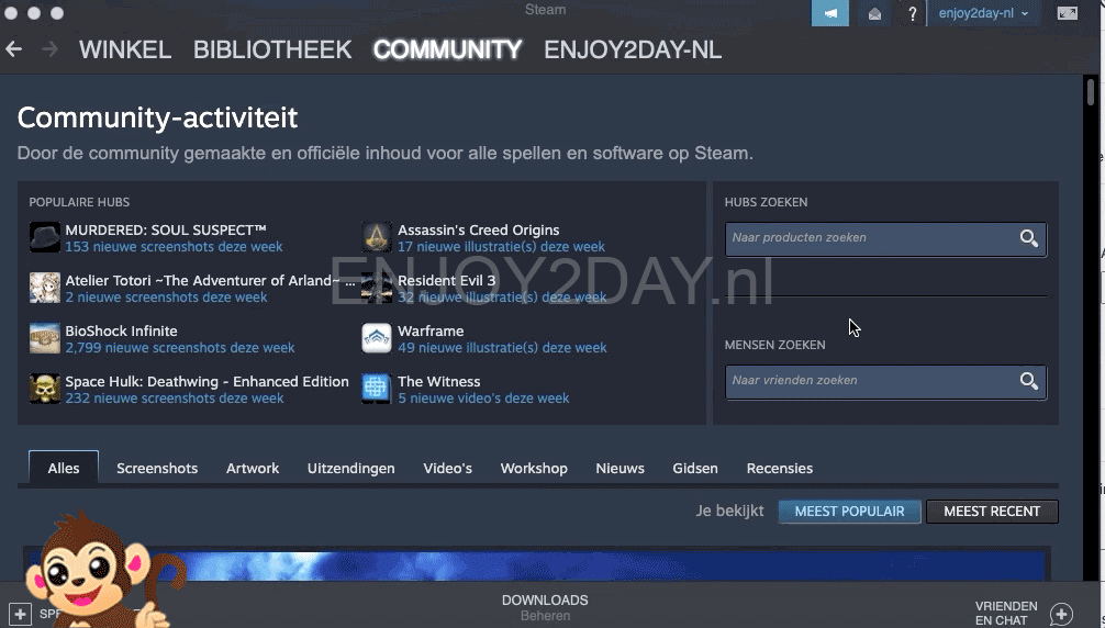 Invoeren code Steam
