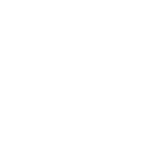 zalando icon