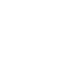 Norton Logo